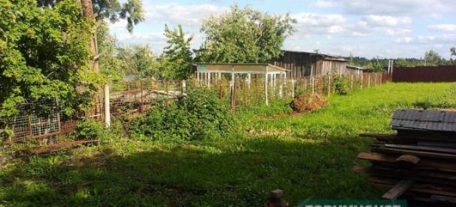 Сарай своими руками деревянный каркасный пошагово