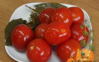 Кислые помидоры на зиму рецепты с чесноком и зеленью как бочковые в кастрюле с капустой