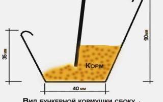 Бункерная кормушка для перепелов своими руками чертежи