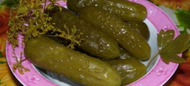 Огурцы для открытого грунта засолочные