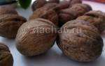 Скорлупа грецкого ореха применение в огороде как удобрение