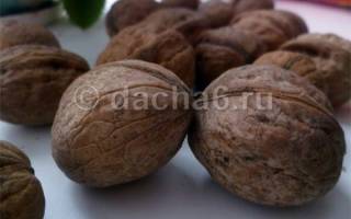 Скорлупа грецкого ореха применение в огороде как удобрение