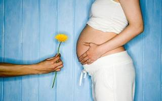 Кедровые орехи польза и вред для женщин беременных мужчин детей