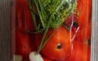 Малосольные помидоры с чесноком рецепты быстрого приготовления с зеленью
