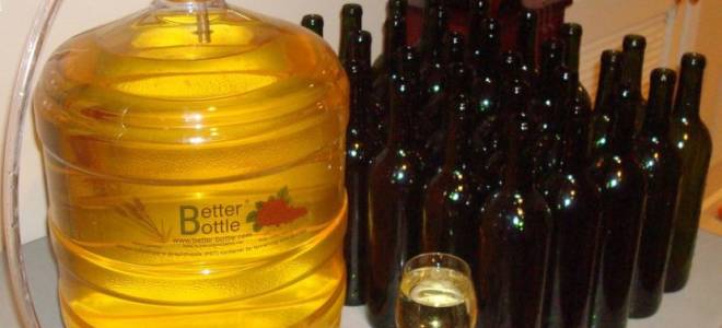 Вино из облепихи в домашних условиях простой рецепт