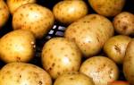 Болезни картофеля фото описание и лечение