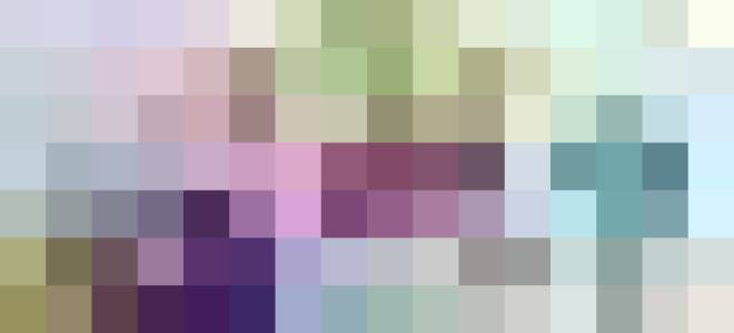 Сливововишневый гибрид описание сортов отзывы фото посадка и уход