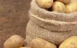 Лучшие сорта картофеля для средней полосы россии + фото отзывы