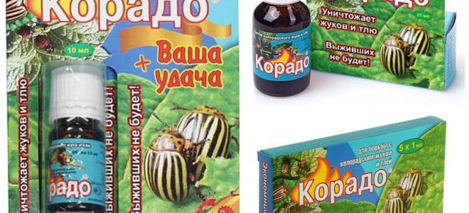 Корадо от колорадского жука инструкция по применению