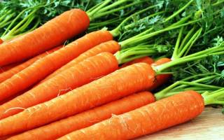 Лучшие сорта моркови для хранения зимой описание отзывы