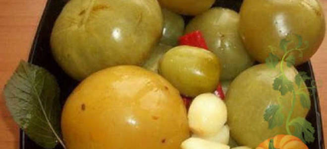 Квашеные зеленые помидоры в ведре