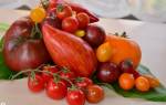 Лучшие сорта томатов на 2020 год описание фото отзывы