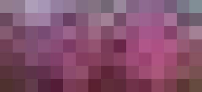 Астра игольчатая выращивание из семян