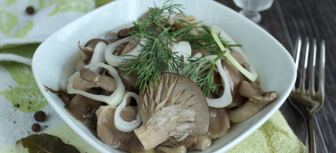 Вешенки маринованные рецепт быстрого приготовления