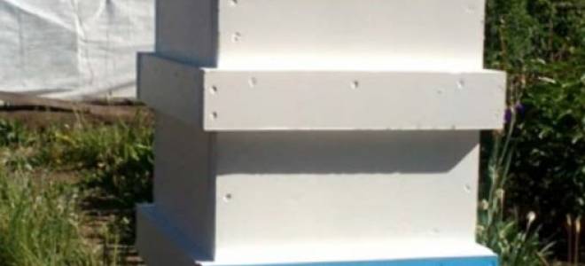 Ульи из пенополистирола (ппс) отзывы пчеловодов чертежи