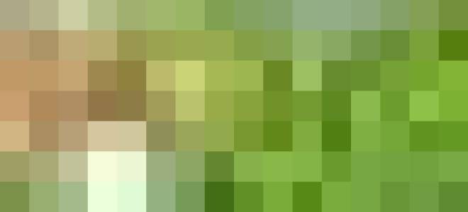 Обработка смородины весной от болезней и вредителей чем и когда опрыскивать