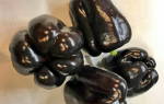 Сорта черных перцев с описанием и фото