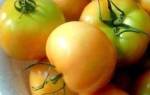 Бурые помидоры 8 рецептов на зиму