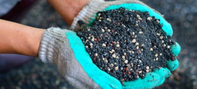 Подкормка рассады томатов и перца