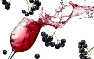 Вино из черноплодки в домашних условиях простой рецепт