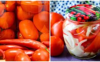 Очень вкусные маринованные помидоры на зиму простые рецепты в 1 литровых и 2 литровых банках пальчики оближешь