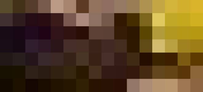 Какие цветы сажать на рассаду в феврале