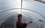 Подготовка теплицы из поликарбоната осенью к зиме обработка уход