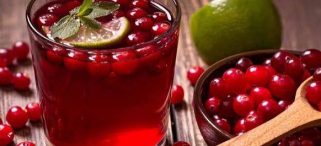 Клюква при подагре рецепты польза и вред