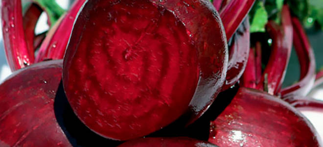 Чем полезна вареная свекла для организма человека