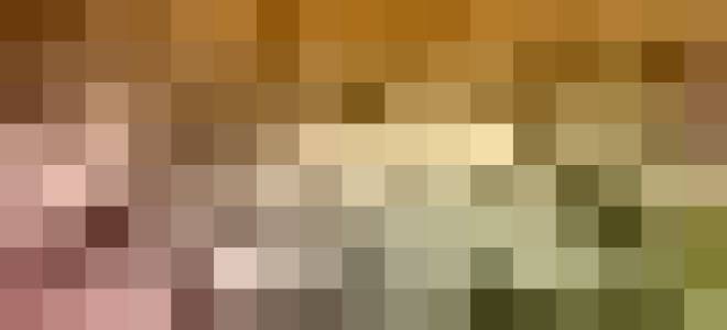 Подготовка клубники к зиме осенью