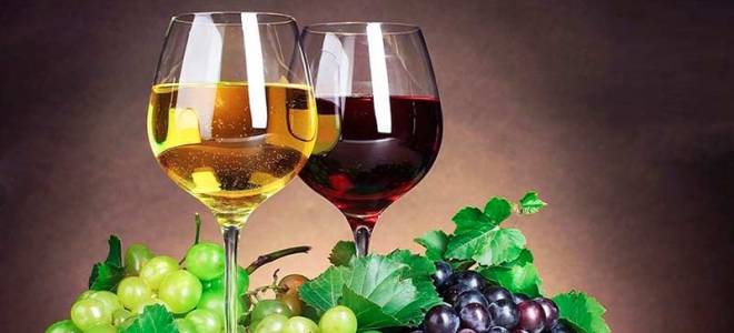 Виноградное вино в домашних условиях простой рецепт
