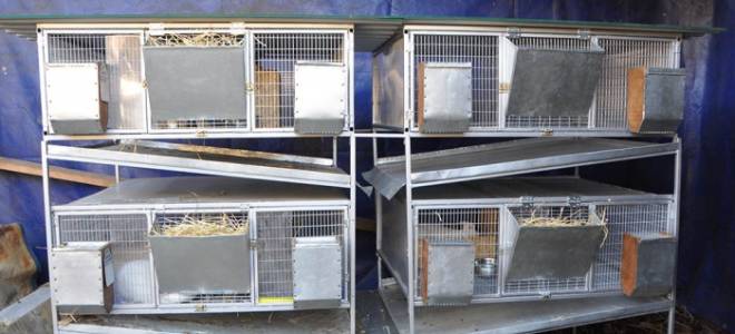 Двухъярусные клетки для кроликов своими руками