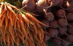 Как хранить морковь и свеклу в погребе