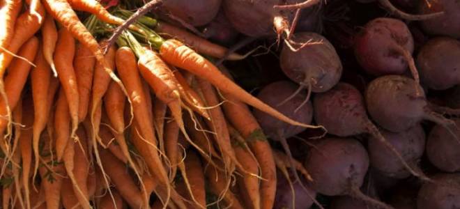 Как хранить свеклу и морковь на зиму