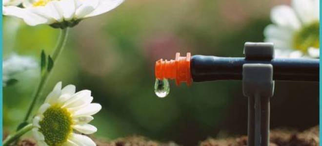 Автополив в теплице своими руками виды и этапы устройства отзывы