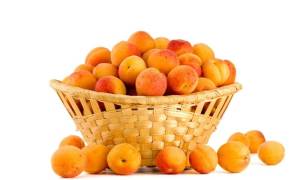Чем подкормить абрикос весной