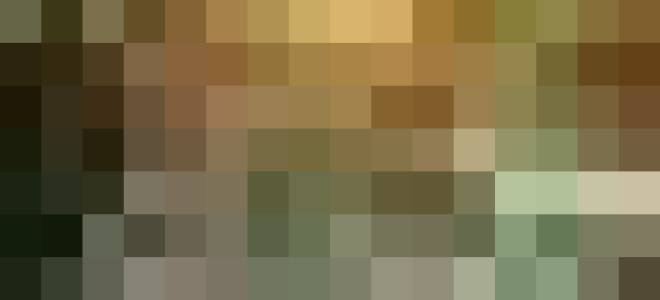 Зеленеет вода в бассейне что делать