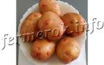 Сорт картофеля жуковский ранний характеристика отзывы