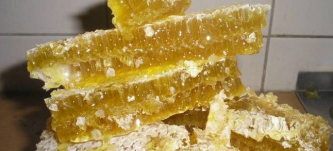 Пчелиный воск едят или нет как есть соты можно ли глотать