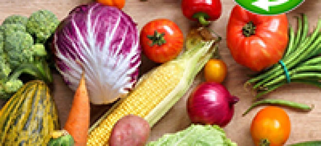 Подкормка огурцов