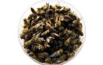 Подмор пчелиный применение для мужчин чем полезен лечебная настойка