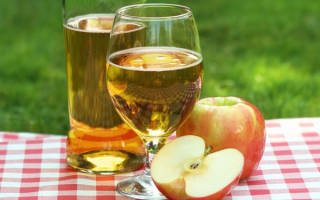 Домашнее вино из яблочного сока рецепты