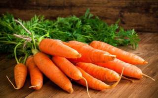 Сорта моркови для сока